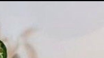 Dos de los hijos de Jessi Argueta, que están en segundo y tercer grado, volvieron a clases ayer. / foto: cortesía.