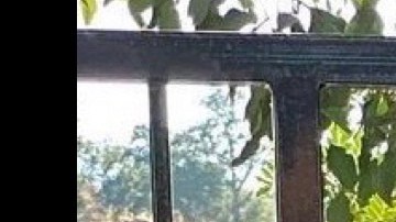 Yvonne Saldoval cuenta su secreto para cumplir con su trabajo, su negocio y su familia.