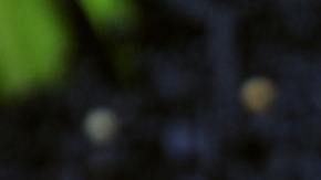 Amuletos del horoscopo chino