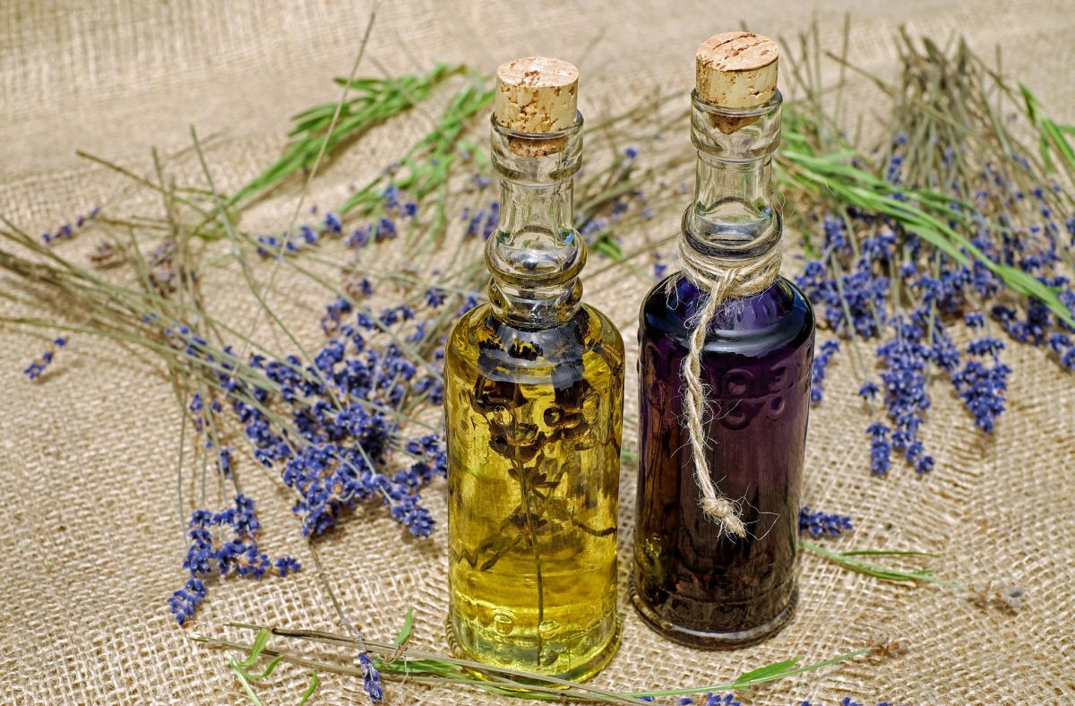 Cómo funciona la aromaterapia para equilibrar cuerpo y mente