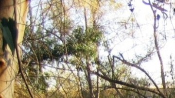 Debido a la contaminación, en la primavera del año pasado cerraron el acceso al Parque de la Amistad.