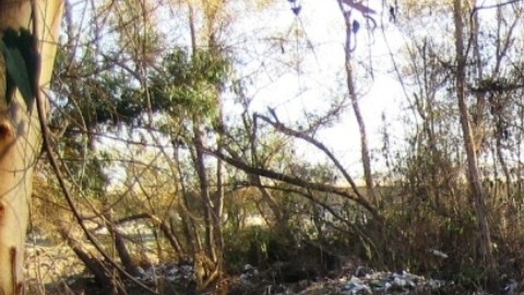 Debido a la contaminación, en la primavera del año pasado cerraron el acceso al Parque de la Amistad.