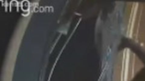 Captura del video.