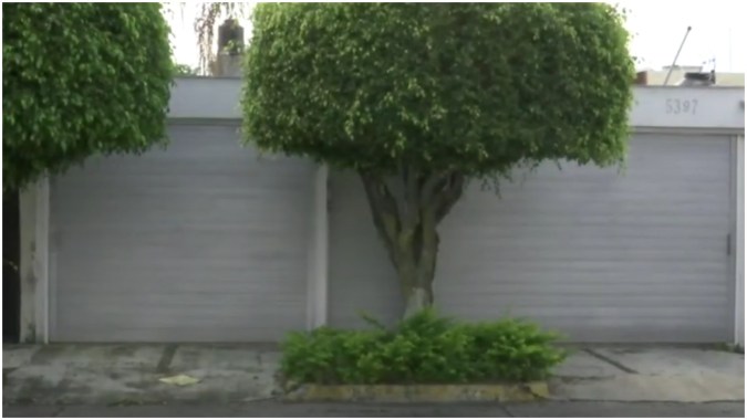 Casa Caro Quintero