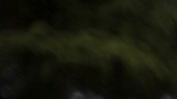 Trabajadores luchan por sus derechos.