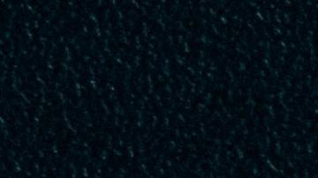 Documento de presentación de impuestos 2020