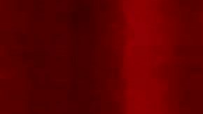 El general del Ejército Raúl Castro Ruz (c), anunció que deja de estar al frente del PCC.