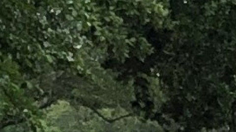 El descubrimiento en  Houston comenzó con una llamada sobre un posible secuestro.