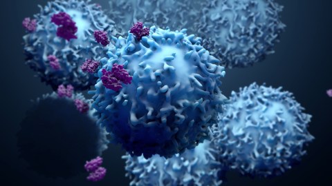 Células de cáncer