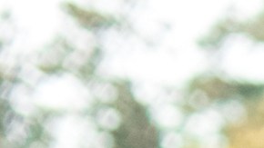 Los vehículos eléctricos ayudan a mejorar la calidad del aire y por ende, nuestra salud. /fotos: shutterstock.