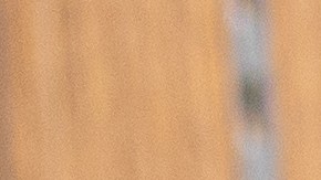 Debes ser residente o ciudadano para obtener un arma de fuego. / foto: shutterstock.