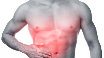 Para que nuestra salud esté óptima, es sumamente importante atender y cuidar cada uno de nuestros órganos del cuerpo, como por ejemplo el hígado. 