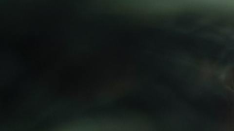 Los signos más afectados por Plutón