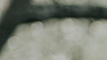 Las mejores parejas zodiacales