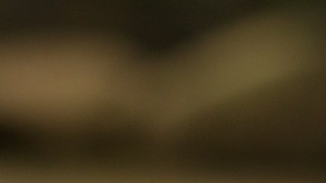 Significado de los alacranes