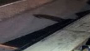 Un total de 20 inmigrantes fueron detenidos.