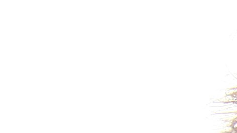 Esperan que el resurgimiento de COVID-19 en la India, anime a muchos estadounidenses a vacunarse. (Getty Images)