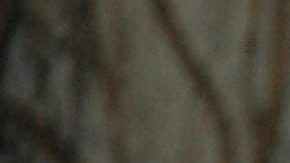 Jacky Bracamontes impacta en su regreso a Miss Universo con un elegante corsé transparente.