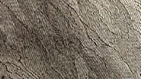 Sibila, reina de Jerusalén,