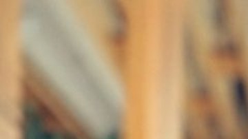 Armitage es el dueño y presidente de la Siderúrgica de Occidente (SIDOC).