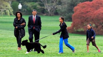 "Bo", el perro de la familia Obama