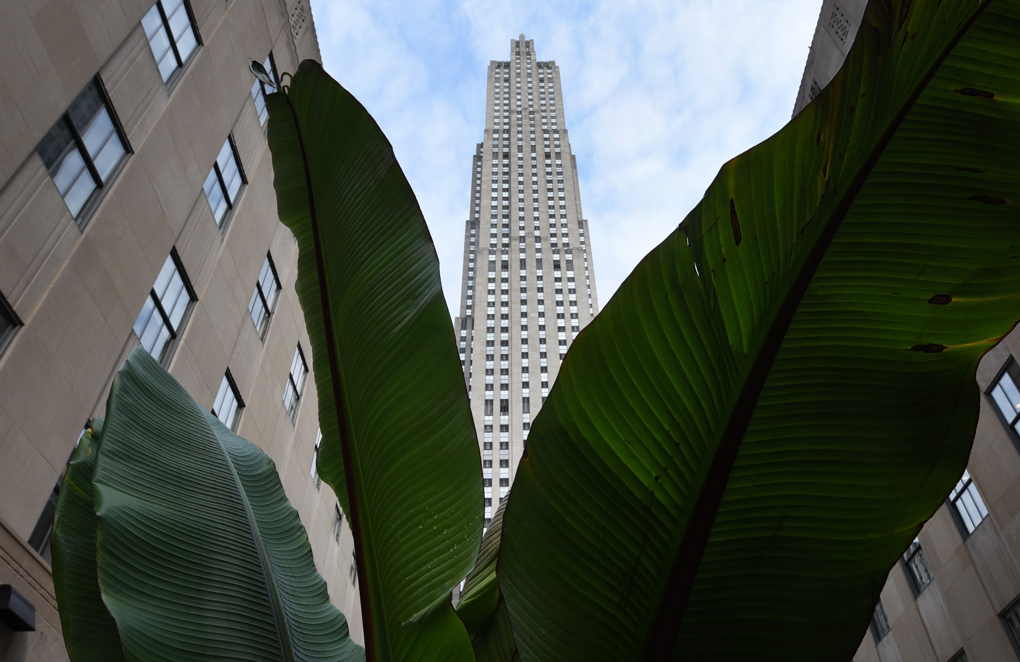 30 Rockefeller Plaza