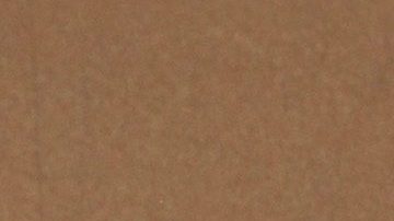 Victoria Ruffo | Mezcalent