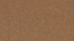 Victoria Ruffo | Mezcalent