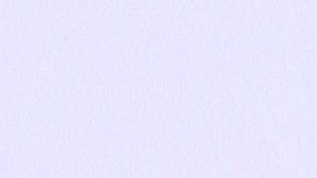 Aislinn Derbez cumple el sueño de su hija Kailani.