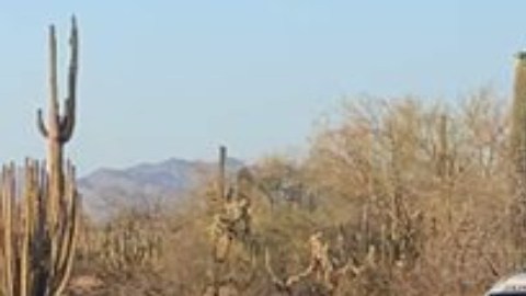 Agentes de la Guardia Nacional confunden a funcionarios con narcos, les disparan y matan a uno