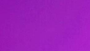 Andrea Meza, Miss México en Miss Universo 2021.