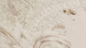 Biden se reunió con los líderes de ambas Cámaras del Congreso.