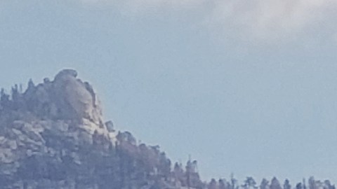 Una sola secuoya gigante se puede ver ardiendo aún en Board Camp Grove.
