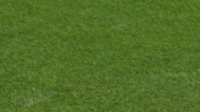 Chicharito y Vela estuvieron juntos en el Mundial de Rusia 2018.