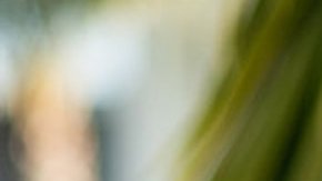 Cristian Reynaga quiere ser el primer alcalde de Compton. (Cortesía Cristian Reynaga)