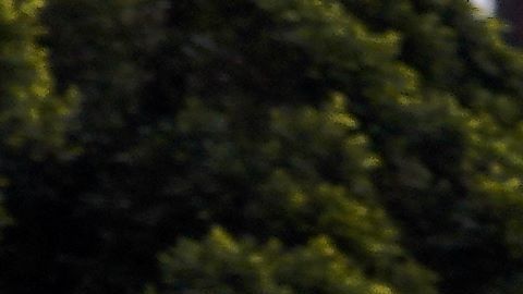 Unos 2,000 refugiados actualmente viven en la frontera.  (Manuel Ocaño)