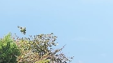Embosca CJNG a Ejército mexicano con drones
