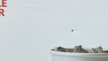 Araceli Nava, residente de la ciudad de Richmond, se contagió de covid-19 en su trabajo en un McDonald’s. (Cortesía Fight for $15)