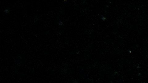 La peor semana para las criptomonedas en lo que va de año.