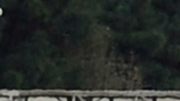 Se espera mucho tráfico este fin de semana feriado. (Archivo)