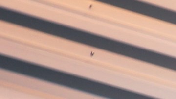 Costco permanecerá cerrado durante el Memorial Day-GettyImages-1072266090.jpg