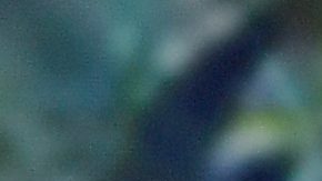 Alessandra Rosaldo y Eugenio Derbez