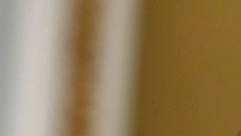 Congresista latina Norma Torres acusa amenazas y agresiones de simpatizantes de Nayib Bukele