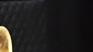 Ariana Grande se casó con Dalton Gomez