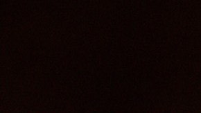 US-POLITICS-TRUMP]-TWITTER