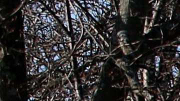 Vista general del campus de la Universidad de Harvard.