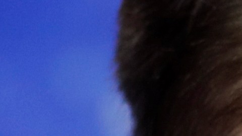 Elon Musk "The Dogecoin father" hizo estragos en su presentación en SNL.