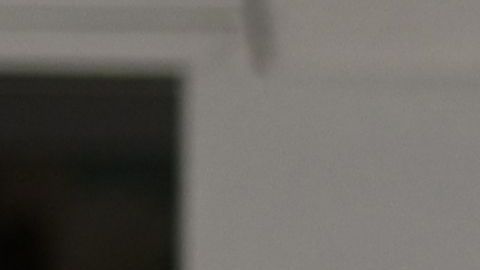 Costco, Walmart, Sam's Club y Trader Joe's dejarán de solicitar el uso de mascarillas a personas vacunadas-GettyImages-1230432415.jpeg