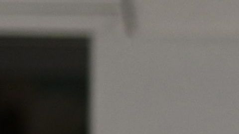 Costco, Walmart, Sam's Club y Trader Joe's dejarán de solicitar el uso de mascarillas a personas vacunadas-GettyImages-1230432415.jpeg