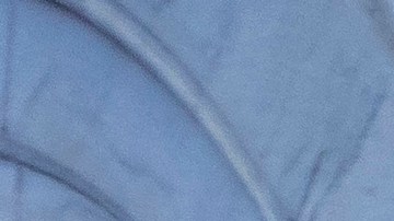 Asalto Capitolio federal